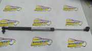 Heckklappendämpfer links Honda Civic VI Hatchback EJ, EK