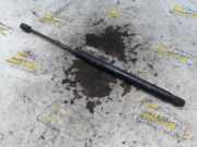 Gasdruckfeder Chevrolet Captiva C100, C140 95494362