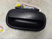 Türgriff rechts hinten Suzuki Alto IV EF