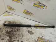 Heckklappendämpfer rechts Peugeot 207 SW WK