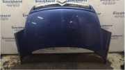 Motorhaube Citroen C8 E