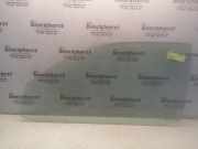 Türscheibe links Seat Ibiza II 6K