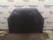 Motorhaube Ford Focus DAW, DBW