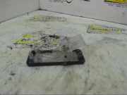 Kennzeichenleuchte mitte Renault Scenic II JM