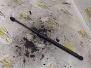 Heckklappendämpfer links Suzuki SX4 EY, GY
