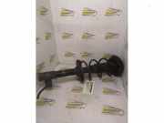 Federbein rechts hinten Suzuki Baleno Schrägheck EG