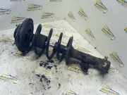 Federbein links vorne Nissan Primera Traveller WP12