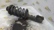 Federbein links vorne Kia Picanto 1 SA