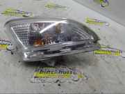 Blinker rechts Renault Twingo II CN0