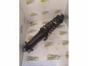 Federbein links hinten Lexus IS 2 E2