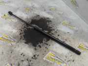 Heckklappendämpfer links Suzuki Celerio LF 8186084M00