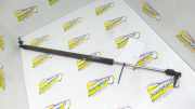 Heckklappendämpfer links Chrysler Voyager IV RG