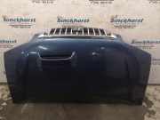 Motorhaube Hyundai H-1 Kasten H-1 664004G010