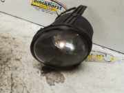Nebelscheinwerfer links vorne BMW X5 E53 13101610