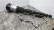 Federbein links hinten Mercedes-Benz S-Klasse W221