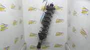 Federbein links hinten Rover 200 RF