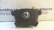 Airbag Fahrer Skoda Fabia 6Y