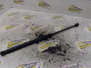 Heckklappendämpfer rechts Lancia Ypsilon 843