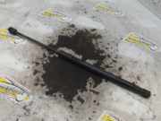 Heckklappendämpfer links Hyundai i10 IA 81770B9010