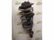 Federbein links vorne Citroen Xsara Picasso N68