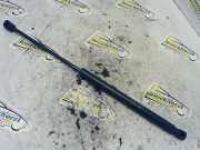 Heckklappendämpfer links Kia Picanto 1 SA 8177007001