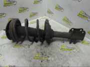 Federbein links vorne Suzuki Baleno Schrägheck EG