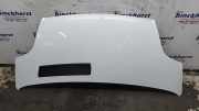 Motorhaube Opel Vivaro A Kasten X83