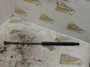 Heckklappendämpfer links Ford Ka RU8 51794232