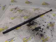 Heckklappendämpfer rechts Chrysler Grand Voyager V RT