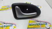 Türgriff links hinten Renault Clio II B