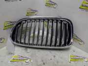 Kühlergrill links Alpina B5 F10 51137203649