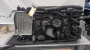 Kühlpaket Renault Clio V B7 214109135R