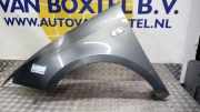 Kotflügel links vorne Seat Ibiza IV 6J 6J0821021D