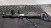 Federbein links hinten BMW 3er G20, G28, G80 10817611