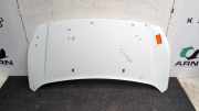 Motorhaube Ford Transit Connect V408 Kasten 1808950