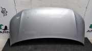 Motorhaube VW Transporter T6 Kasten 19173050455
