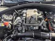 Motor ohne Anbauteile (Benzin) Land Rover Range Rover Velar L560 LR141476