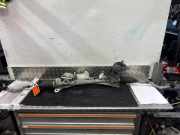 Lenkgetriebe Servo Renault Scenic E-Tech 490046029R