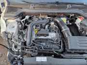 Motor ohne Anbauteile (Benzin) Skoda Kamiq NW4 05C100031M