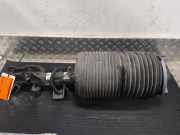 Federbein links vorne Mercedes-Benz V-Klasse W447 A4473204700
