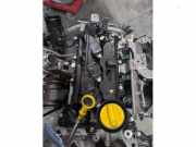 Motor ohne Anbauteile (Benzin) Dacia Sandero III DJF H4D470