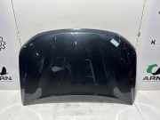 Motorhaube Dacia Duster HM 651008347R