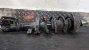 Federbein rechts vorne Renault Trafic III Kasten FG 543025946R