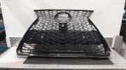Kühlergrill Lexus UX AA, AH, MA 5311176150