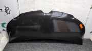 Motorhaube Renault Master III Kasten FV 651001399R