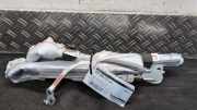 Airbag Dach links Dacia Sandero III DJF 985L14896R