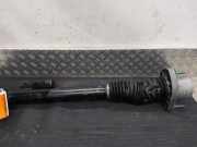 Federbein links hinten Land Rover Defender Station Wagon L663 L8B218A024AA