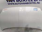 Motorhaube Fiat 500 312 0052009424