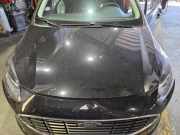 Motorhaube Ford Fiesta VII HJ, HF PN1BBA16610AB