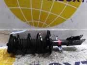 Stoßdämpfer links vorne Renault Kangoo III A4203260600